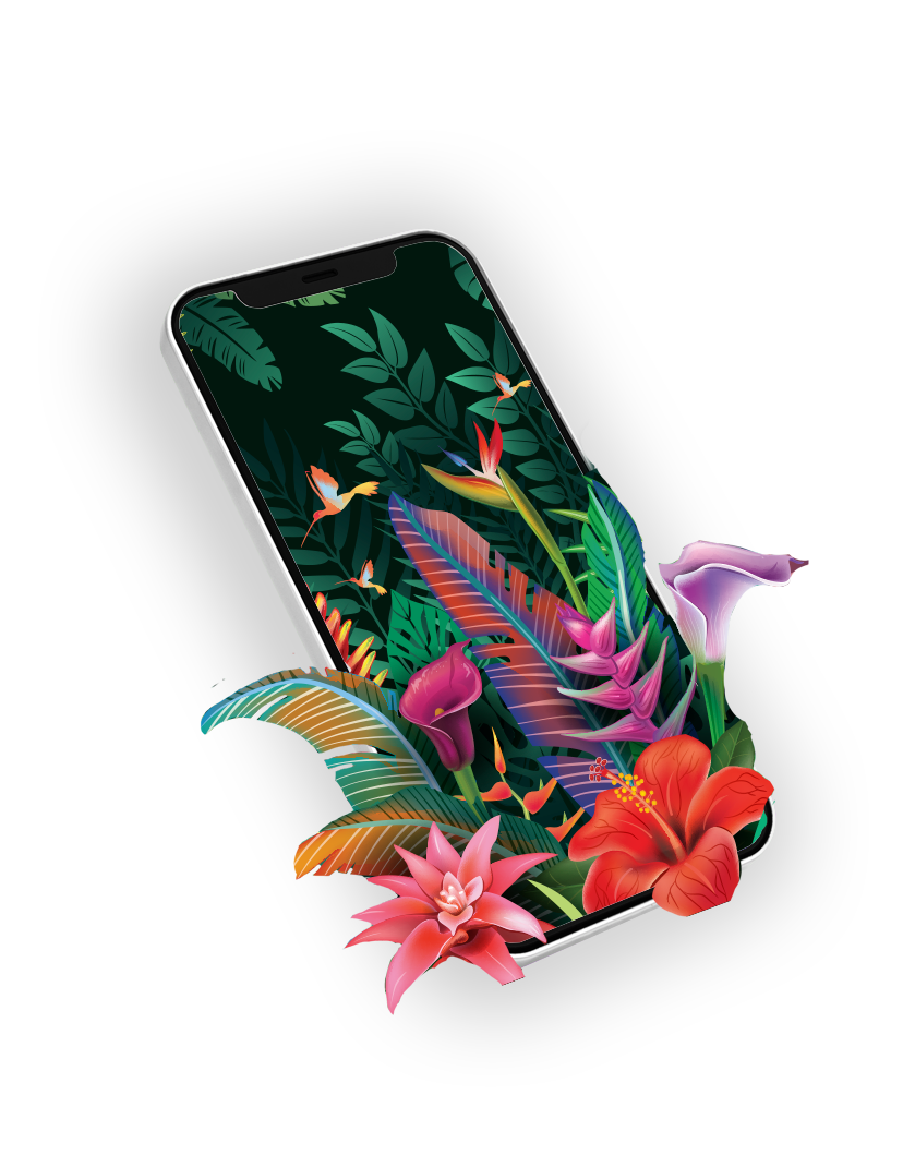 Website & Digital Marketing Illustration