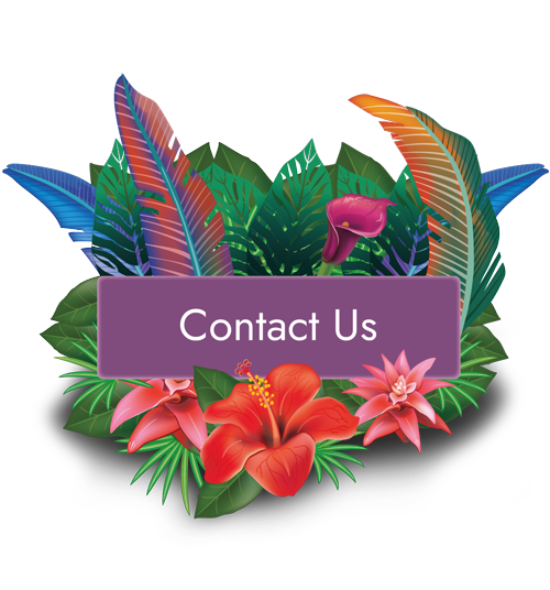 Sustainable Gifts & Sourcing - Contact Us - Imaginarium Future