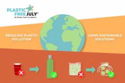 Plastic Free July - Latest News - Imaginarium Future