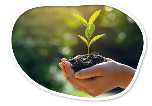 Sustainable product sourcing at Imaginarium Future